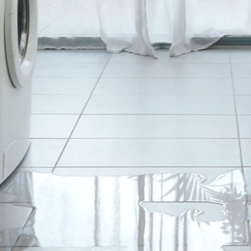 Appliance Leak Cleanup in Allen County, KS
