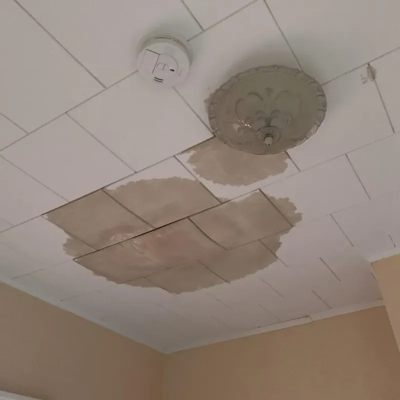 Ceiling Water Damage Repair in Allen County, KS