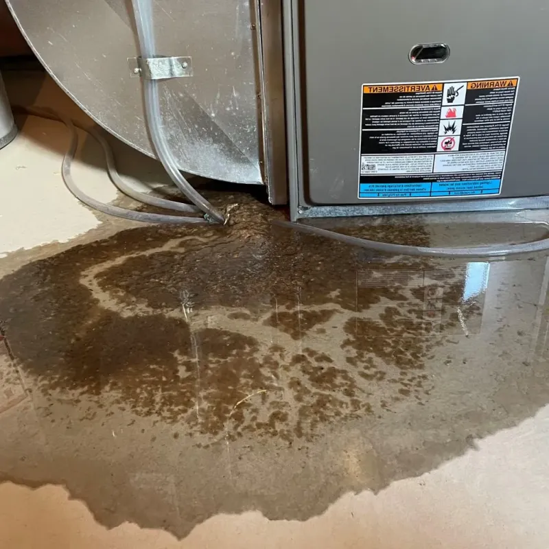 Pipe Burst and Leak Restoration in Allen County, KS