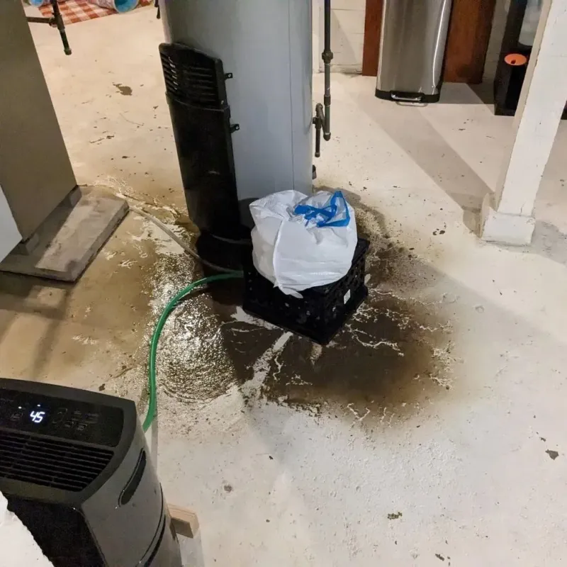 Sewage Backup Cleanup Service in Allen County, KS
